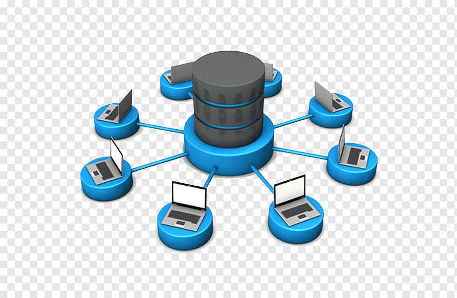 Database Management